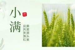 诺海化工 | 物迎夏熟，恰人生小得盈满